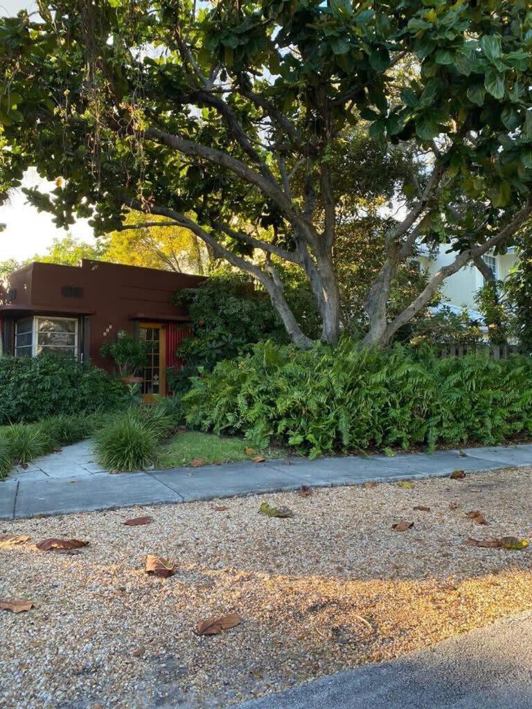 Delight And Cozy Apt Close To Las Olas & The Beach 劳德代尔堡 外观 照片