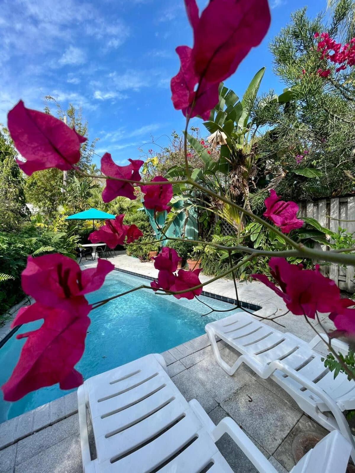 Delight And Cozy Apt Close To Las Olas & The Beach 劳德代尔堡 外观 照片