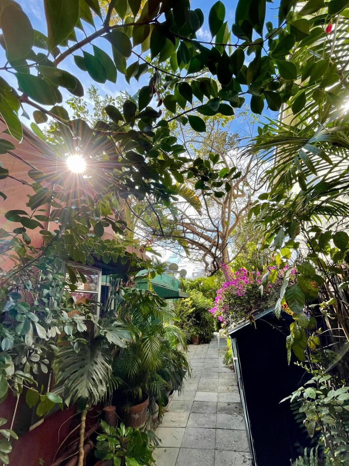 Delight And Cozy Apt Close To Las Olas & The Beach 劳德代尔堡 外观 照片